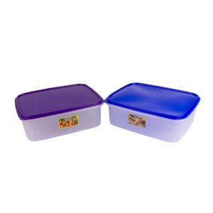 P070- FOODSAVER LARGE 5ℓ 610