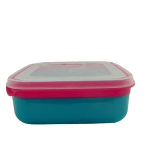 P3529- FOOD SAVER SQUARE 1.4ℓ FORM 8552