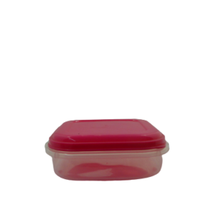 P3469- FOODSAVER 800mℓ CENT 676