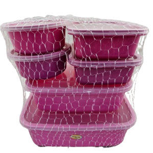 P3004-CONTAINER SET 6pce FORM 1039